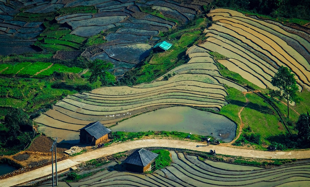 /fm/Files//Package/3 days sapa trekking/ricepaddy1.jpg